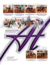 Arno Honstetter Derby Ad