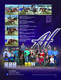 Arno Honstetter Reining By The Bay