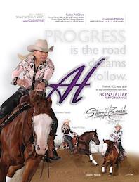 Arno Honstetter Story Book Stables